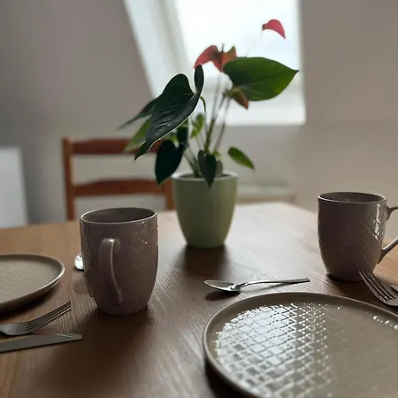 Apartment 1 Raum Dachgeschosswohnung In Ruhiger Lage *